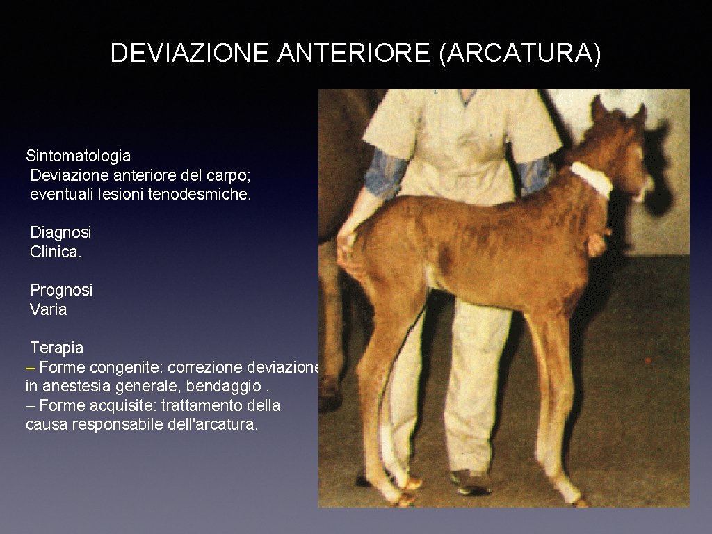 DEVIAZIONE ANTERIORE (ARCATURA) Sintomatologia Deviazione anteriore del carpo; eventuali lesioni tenodesmiche. Diagnosi Clinica. Prognosi