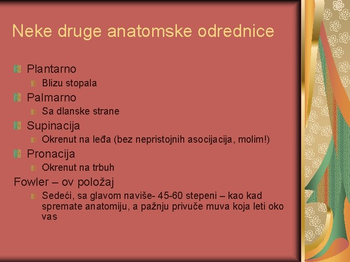 Neke druge anatomske odrednice Plantarno Blizu stopala Palmarno Sa dlanske strane Supinacija Okrenut na