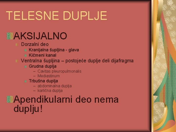 TELESNE DUPLJE AKSIJALNO Dorzalni deo Kranijalna šupljina - glava Kičmeni kanal Ventralna šupljina –