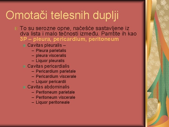 Omotači telesnih duplji To su serozne opne, načešće sastavljene iz dva lista i malo