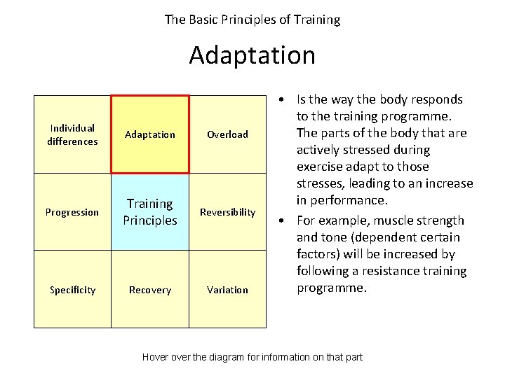The Basic Principles of Training Adaptation Individual differences Adaptation Overload Progression Training Principles Reversibility