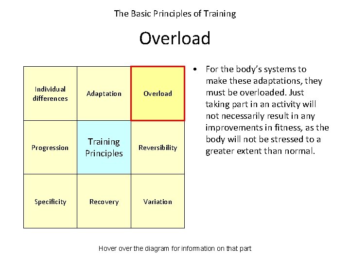 The Basic Principles of Training Overload Individual differences Adaptation Overload Progression Training Principles Reversibility