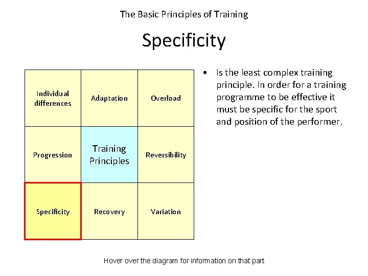 The Basic Principles of Training Specificity Individual differences Adaptation Overload Progression Training Principles Reversibility