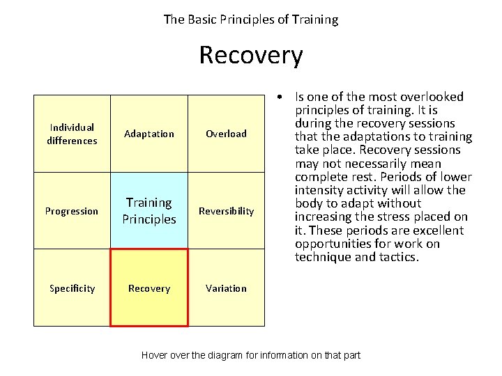 The Basic Principles of Training Recovery Individual differences Adaptation Overload Progression Training Principles Reversibility