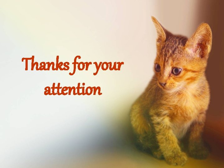 Thanks for your attention 