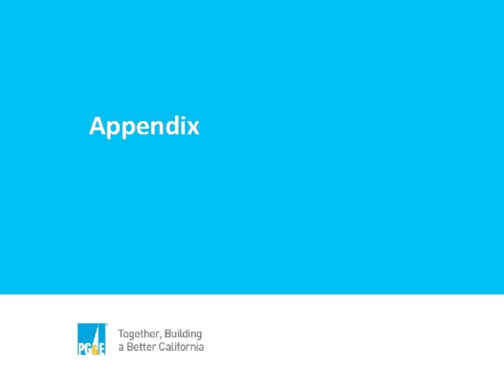 Appendix 