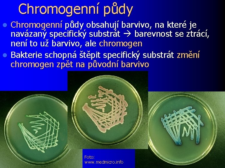 Chromogenní půdy obsahují barvivo, na které je navázaný specifický substrát barevnost se ztrácí, není