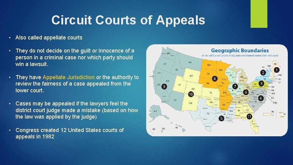 Circuit Courts of Appeals • Also called appellate courts • They do not decide