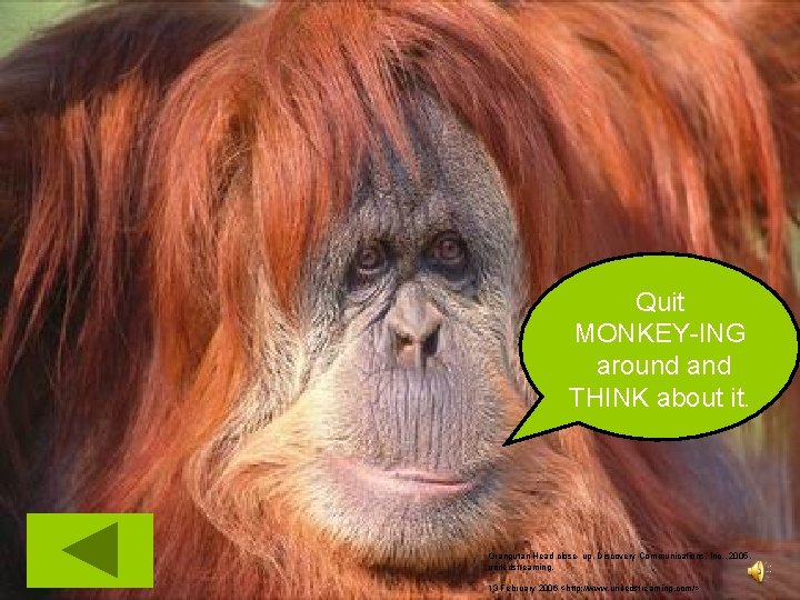 Quit MONKEY-ING around and THINK about it. Orangutan Head close- up. Discovery Communications, Inc.