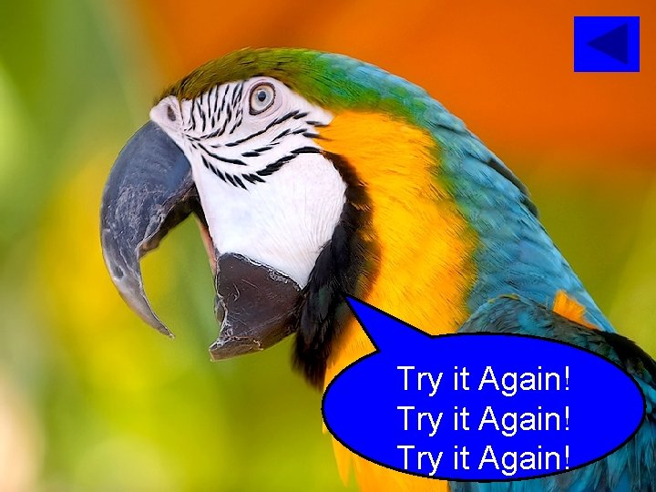 Try it Again! 
