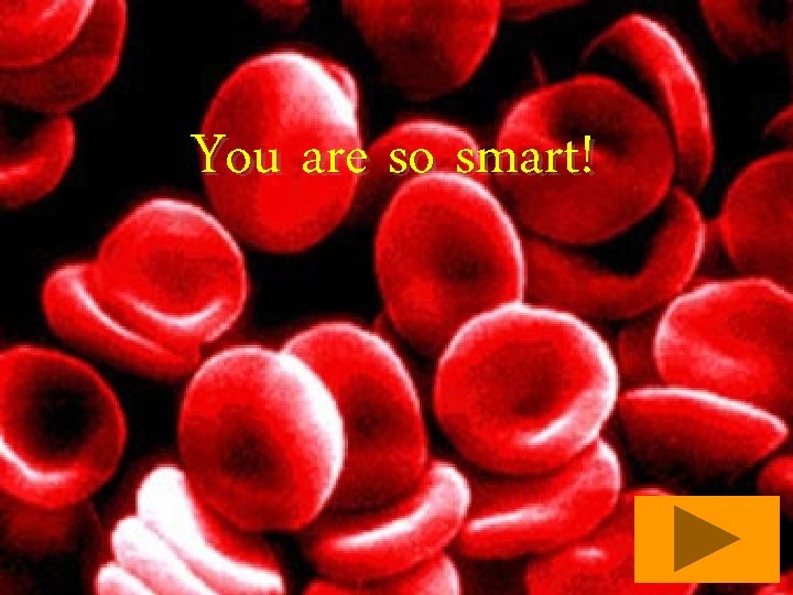 You are so smart! 