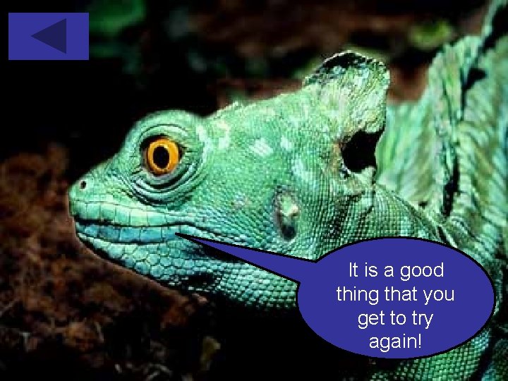 It is a good thing that you get to try again! 