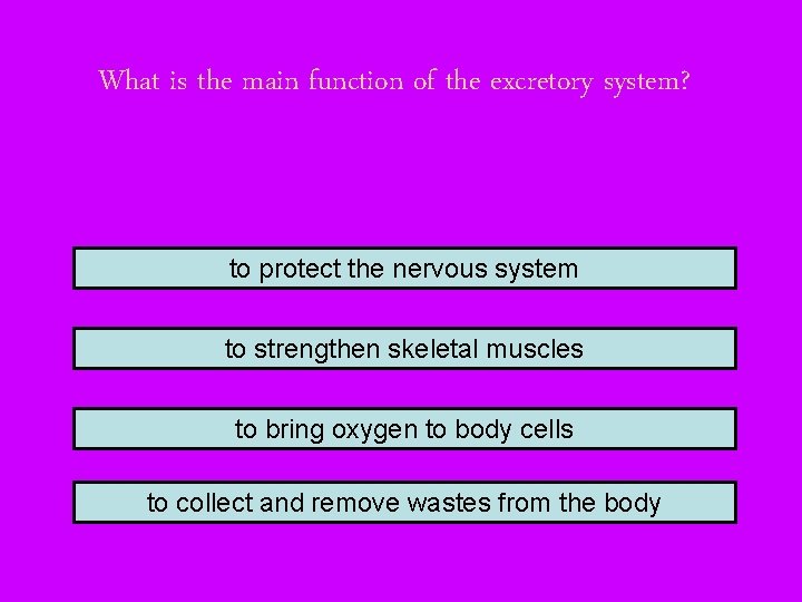 What is the main function of the excretory system? to protect the nervous system