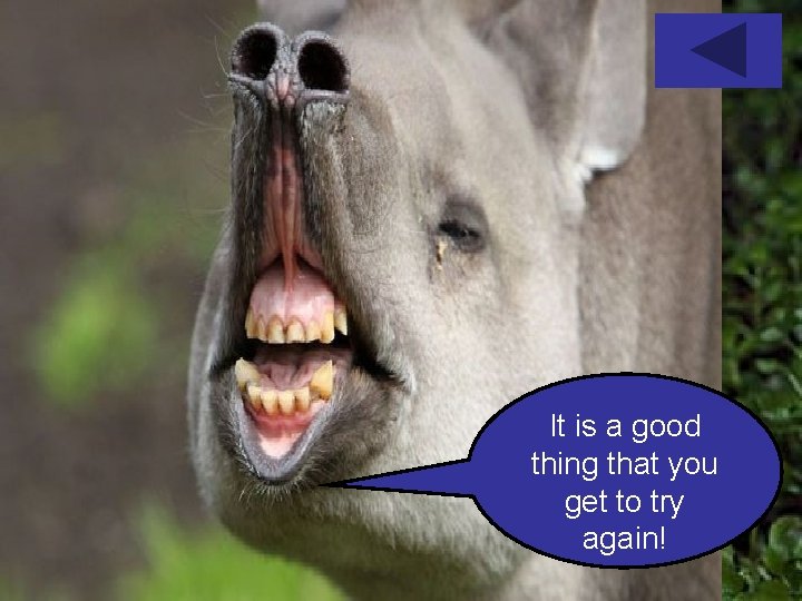 It is a good thing that you get to try again! 
