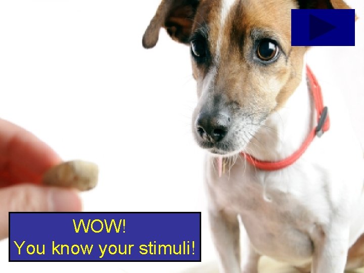 WOW! You know your stimuli! 