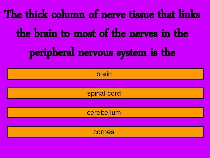 The thick column of nerve tissue that links the brain to most of the