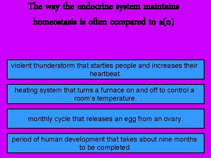 The way the endocrine system maintains homeostasis is often compared to a(n) violent thunderstorm