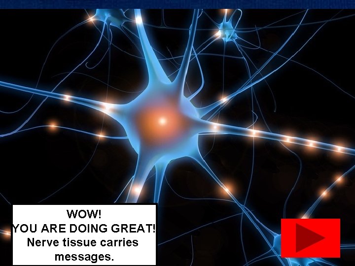 WOW! YOU ARE DOING GREAT! Nerve tissue carries messages. 