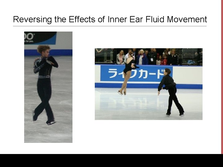 Reversing the Effects of Inner Ear Fluid Movement www. Bio. Ed. Online. org 