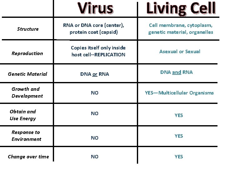 Virus Structure Reproduction RNA or DNA core (center), protein coat (capsid) Copies itself only