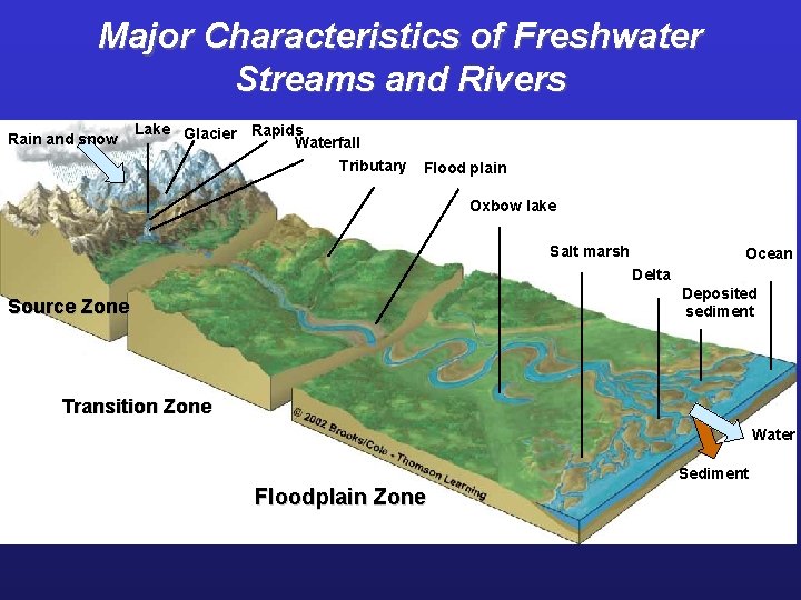 Major Characteristics of Freshwater Streams and Rivers Rain and snow Lake Glacier Rapids Waterfall