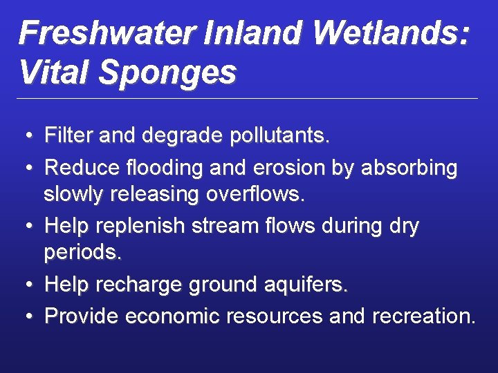 Freshwater Inland Wetlands: Vital Sponges • Filter and degrade pollutants. • Reduce flooding and