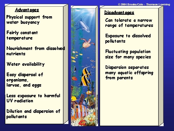 © 2004 Brooks/Cole – Thomson Learning Advantages Physical support from water buoyancy Fairly constant