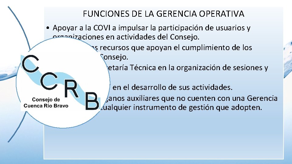 FUNCIONES DE LA GERENCIA OPERATIVA • Apoyar a la COVI a impulsar la participación