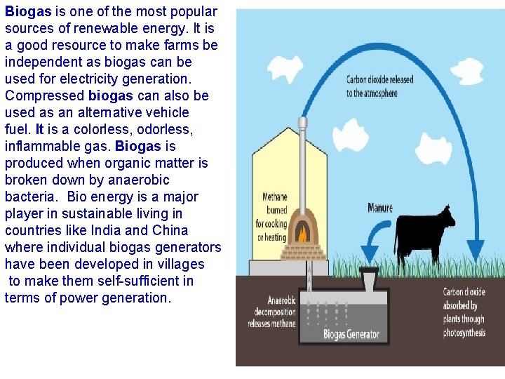 Biogas is one of the most popular sources of renewable energy. It is a