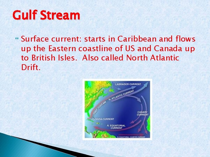 Gulf Stream Surface current: starts in Caribbean and flows up the Eastern coastline of