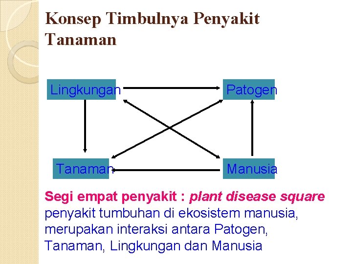 Konsep Timbulnya Penyakit Tanaman Lingkungan Patogen Tanaman Manusia Segi empat penyakit : plant disease