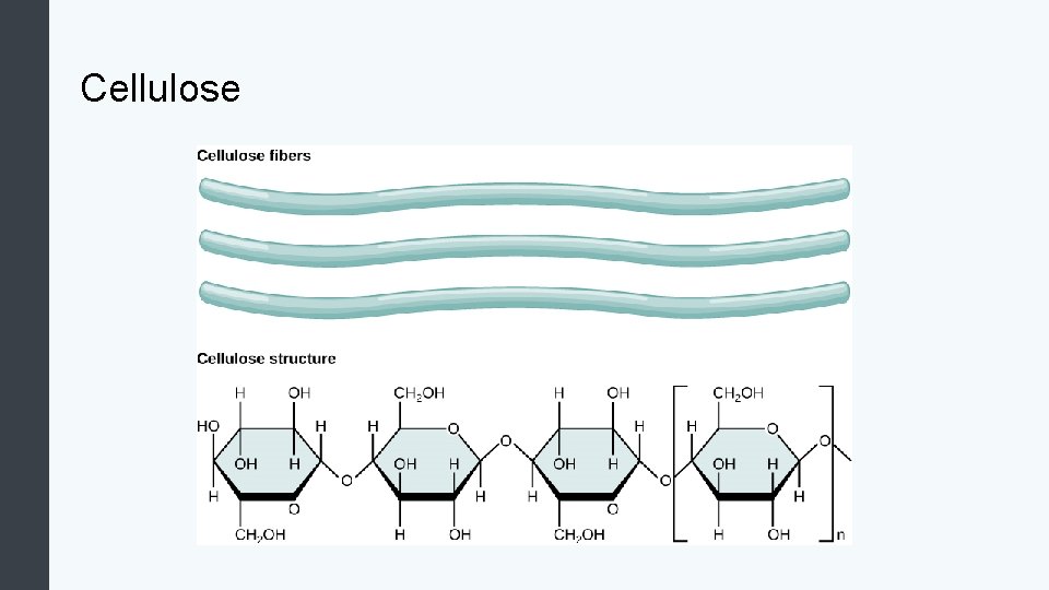 Cellulose 
