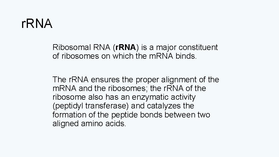 r. RNA Ribosomal RNA (r. RNA) is a major constituent of ribosomes on which