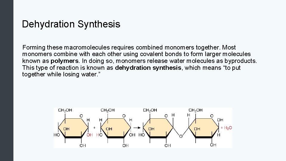 Dehydration Synthesis Forming these macromolecules requires combined monomers together. Most monomers combine with each