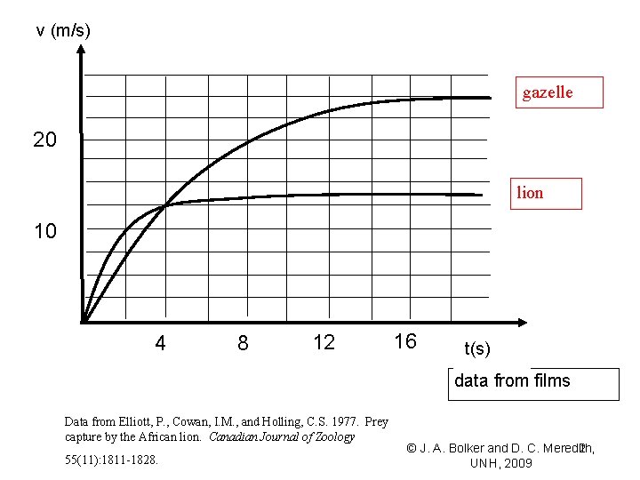 v (m/s) gazelle 20 lion 10 4 8 12 16 t(s) data from films