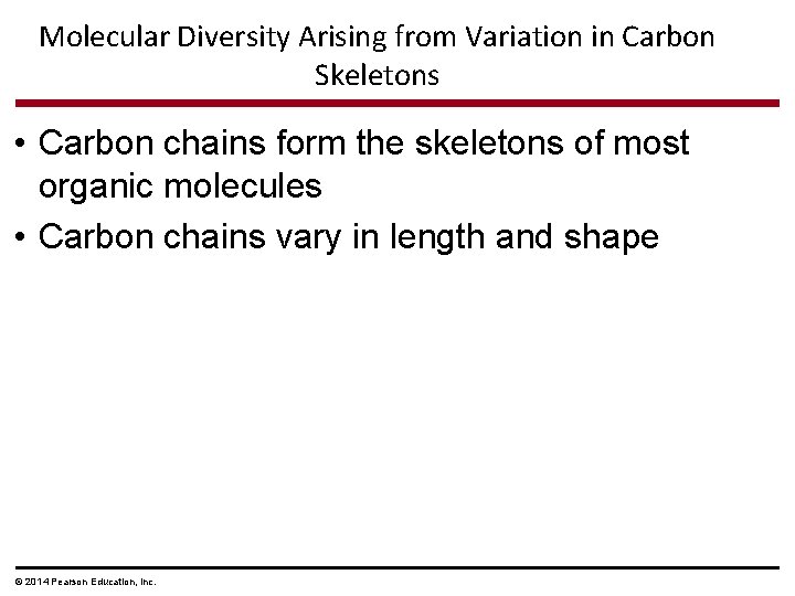 Molecular Diversity Arising from Variation in Carbon Skeletons • Carbon chains form the skeletons