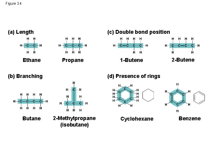 Figure 3. 4 (a) Length Ethane (c) Double bond position Propane (b) Branching Butane