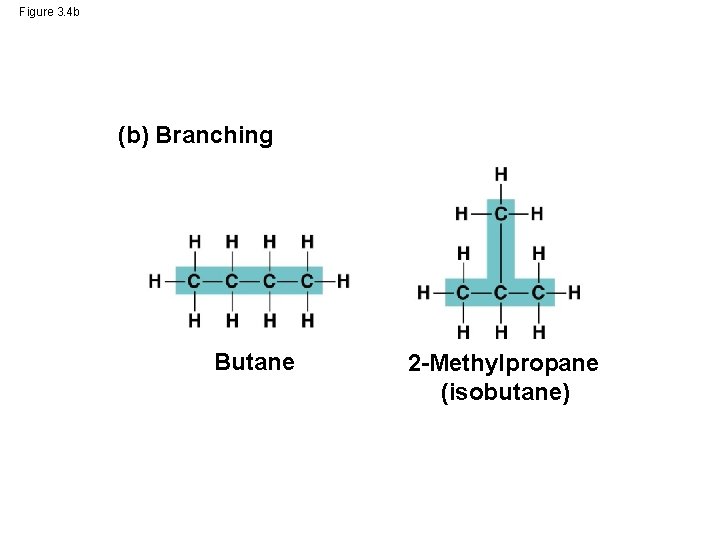 Figure 3. 4 b (b) Branching Butane 2 -Methylpropane (isobutane) 