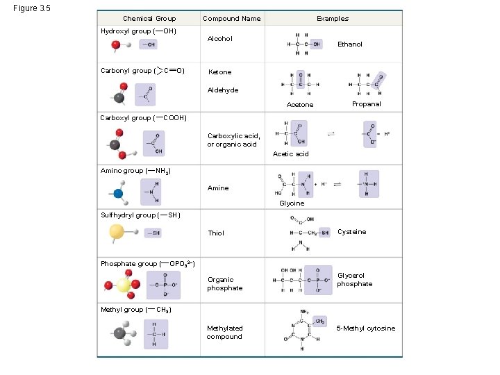 Figure 3. 5 Chemical Group Hydroxyl group ( Compound Name OH) Carbonyl group (