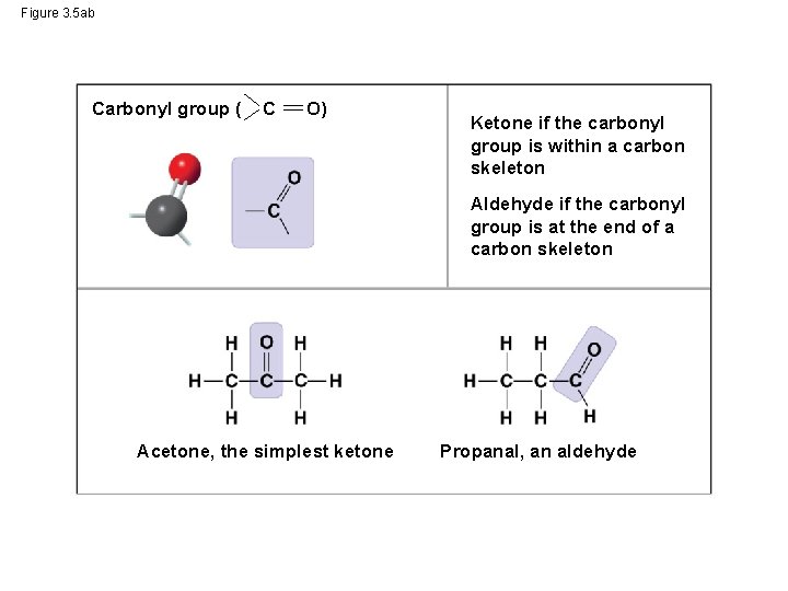 Figure 3. 5 ab Carbonyl group ( C O) Ketone if the carbonyl group