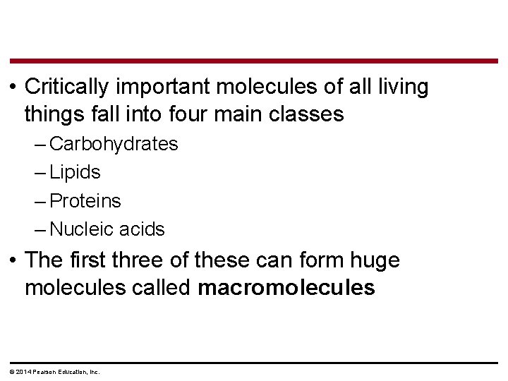  • Critically important molecules of all living things fall into four main classes