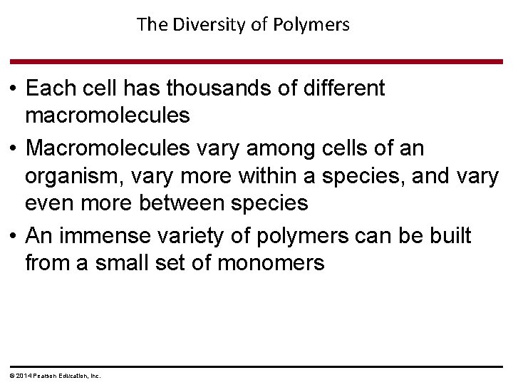 The Diversity of Polymers • Each cell has thousands of different macromolecules • Macromolecules