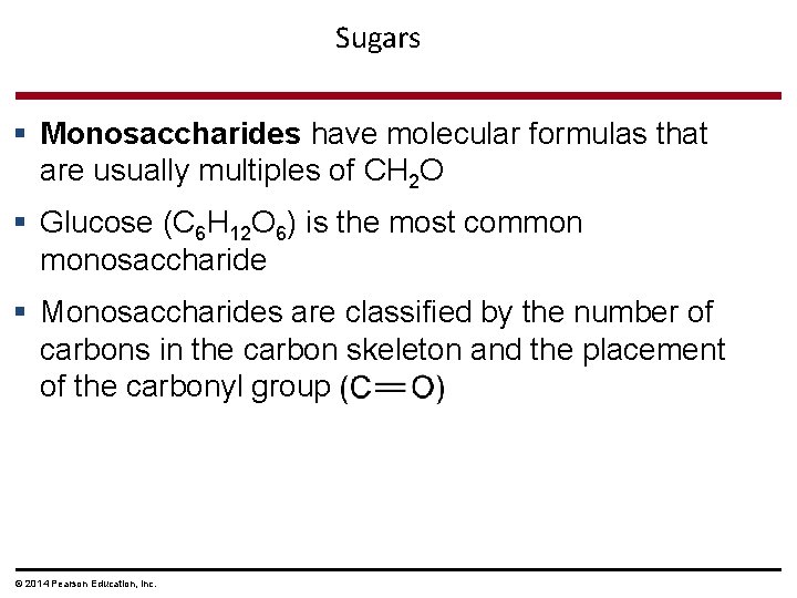 Sugars § Monosaccharides have molecular formulas that are usually multiples of CH 2 O