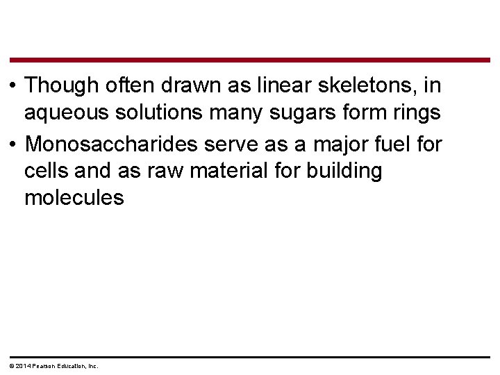  • Though often drawn as linear skeletons, in aqueous solutions many sugars form