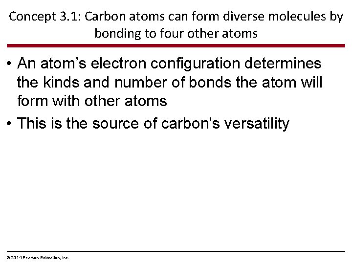 Concept 3. 1: Carbon atoms can form diverse molecules by bonding to four other