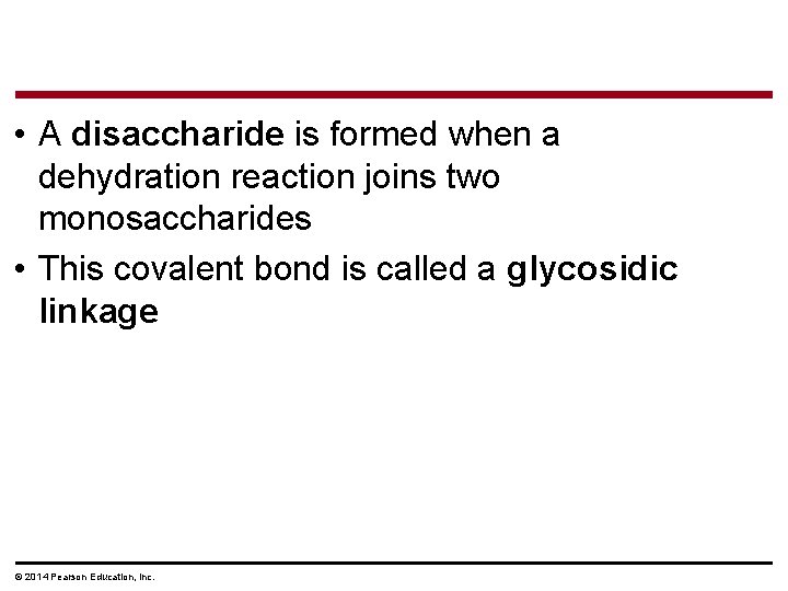  • A disaccharide is formed when a dehydration reaction joins two monosaccharides •