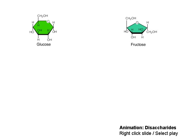 Animation: Disaccharides Right click slide / Select play 