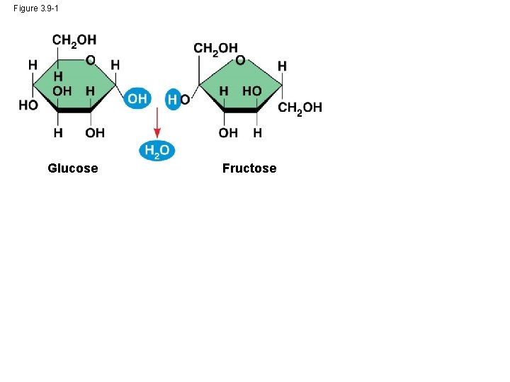 Figure 3. 9 -1 Glucose Fructose 