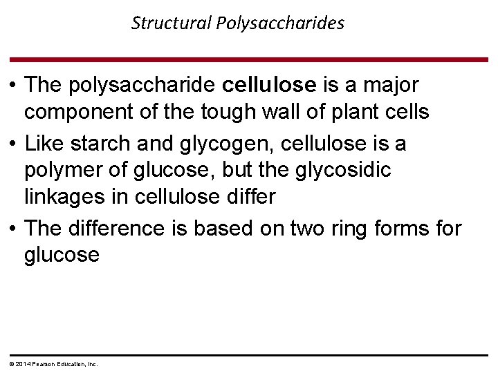 Structural Polysaccharides • The polysaccharide cellulose is a major component of the tough wall