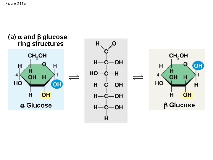 Figure 3. 11 a (a) and glucose ring structures Glucose 